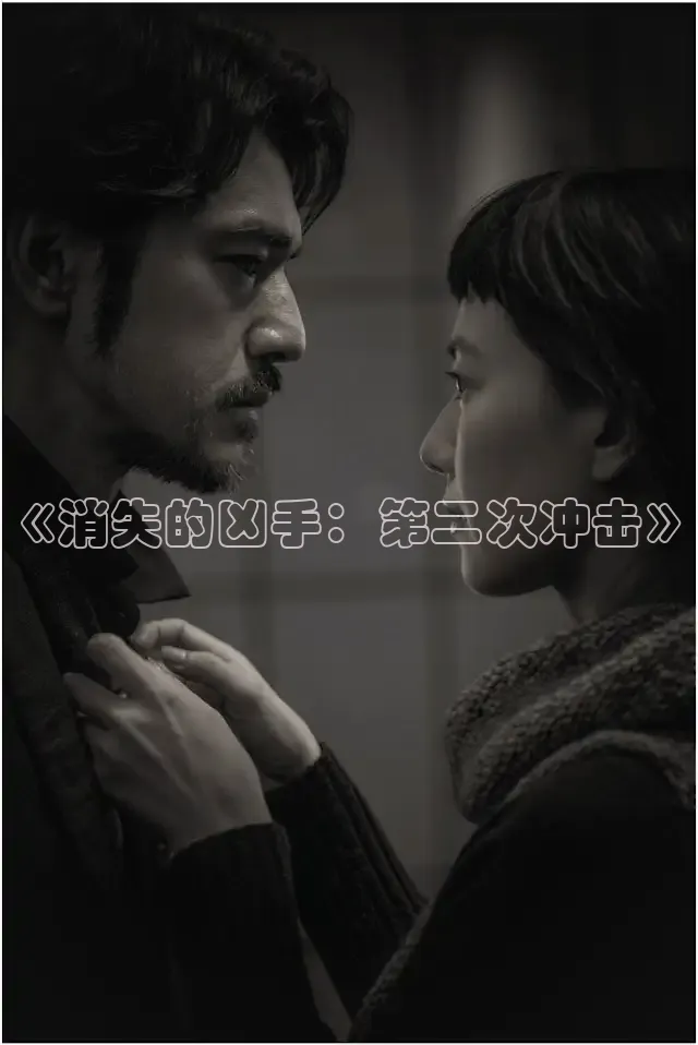 《消失的凶手：第二次冲击》